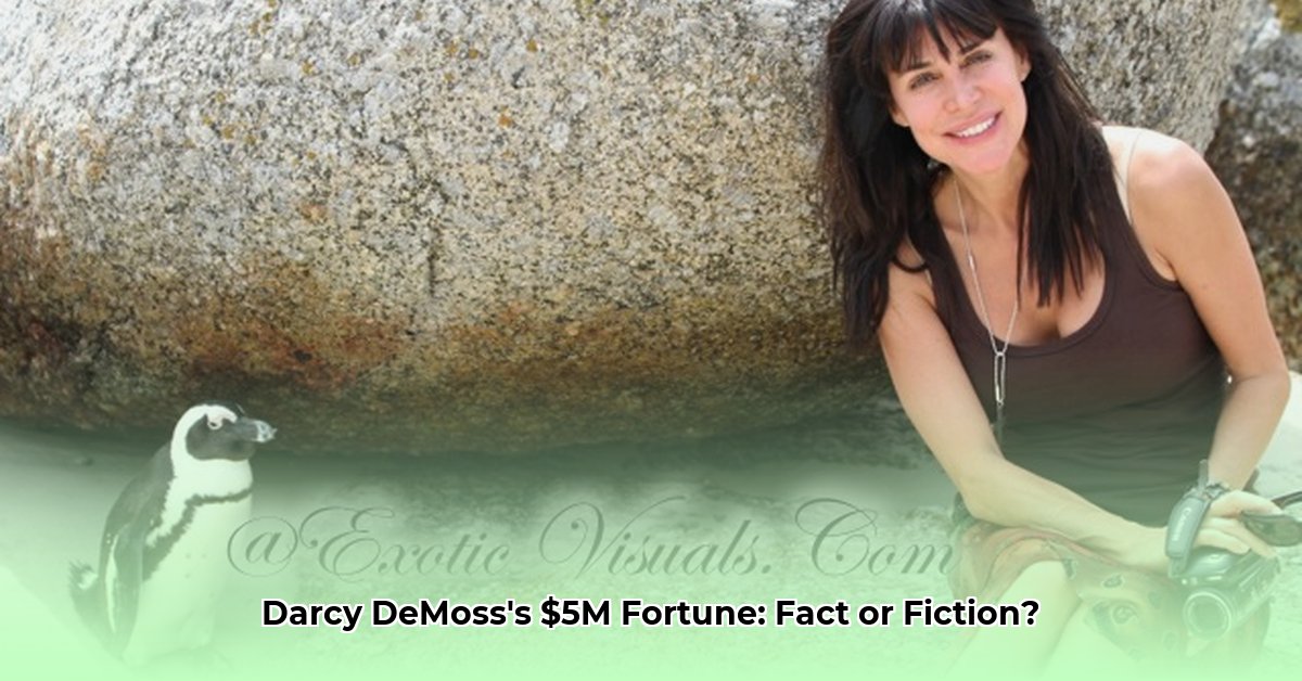darcy-demoss-net-worth
